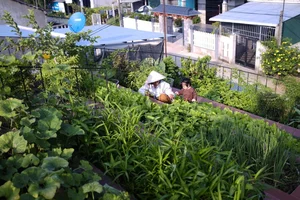 Innovative Terraced Roof Garden House Featured in US Media - image 3