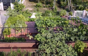 Innovative Terraced Roof Garden House Featured in US Media - image 8