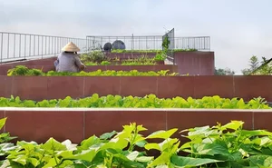Innovative Terraced Roof Garden House Featured in US Media - image 2