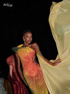 The Untold Struggles of Beauty Pageant Queens: Financial Challenges Behind the Scenes - image 16