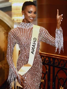 The Untold Struggles of Beauty Pageant Queens: Financial Challenges Behind the Scenes - image 11