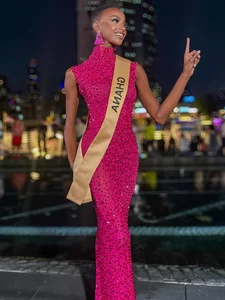 The Untold Struggles of Beauty Pageant Queens: Financial Challenges Behind the Scenes - image 18