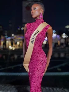 The Untold Struggles of Beauty Pageant Queens: Financial Challenges Behind the Scenes - image 2