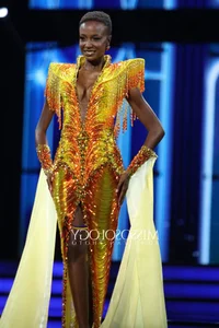 The Untold Struggles of Beauty Pageant Queens: Financial Challenges Behind the Scenes - image 4