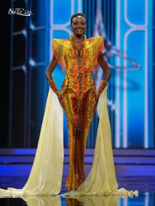The Untold Struggles of Beauty Pageant Queens: Financial Challenges Behind the Scenes - image 5