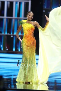 The Untold Struggles of Beauty Pageant Queens: Financial Challenges Behind the Scenes - image 1