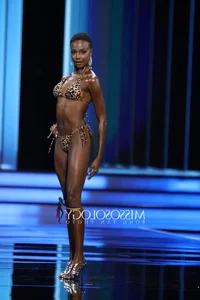 The Untold Struggles of Beauty Pageant Queens: Financial Challenges Behind the Scenes - image 21
