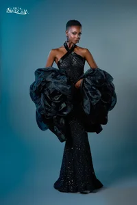 The Untold Struggles of Beauty Pageant Queens: Financial Challenges Behind the Scenes - image 8
