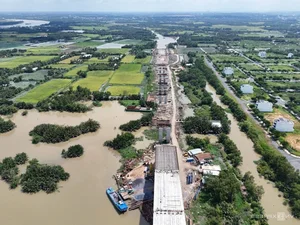 Progress Update on the Largest Bridge Along Ho Chi Minh City’s Ring Road 3 - image 7