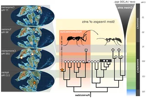 Discovery of the Oldest Prehistoric Hell Ant Species Ever Found - image 4
