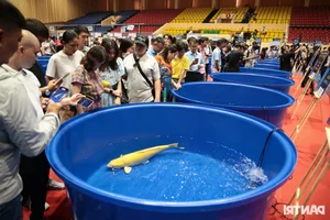 Stunning Giant Koi Fish Showcased at Premier Beauty Competition Featuring 1-Meter Champions - image 8