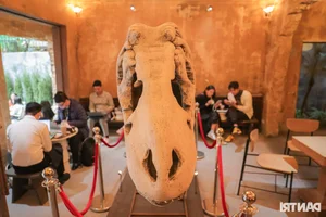 Hanoi’s Unique Dinosaur Bone Cafe: A Must-Visit for Curiosity Seekers - image 7