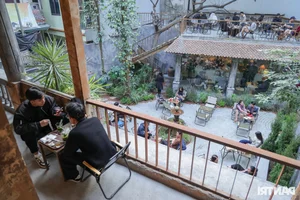 Hanoi’s Unique Dinosaur Bone Cafe: A Must-Visit for Curiosity Seekers - image 8