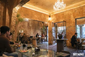 Hanoi’s Unique Dinosaur Bone Cafe: A Must-Visit for Curiosity Seekers - image 5