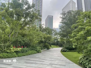 Inside the Apartment Complex Spending a Fortune to Shade Its Trees - image 4