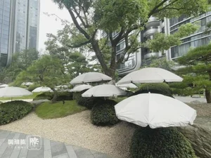 Inside the Apartment Complex Spending a Fortune to Shade Its Trees - image 0