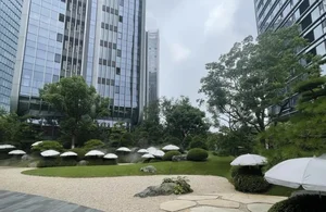 Inside the Apartment Complex Spending a Fortune to Shade Its Trees - image 7