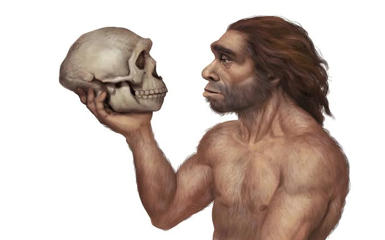 Revolutionary Fossil Discovery Challenges the Timeline of Human Evolution