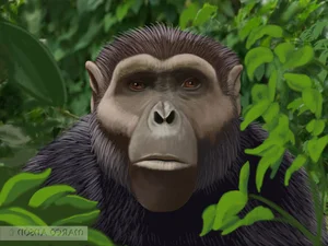 Revolutionary Fossil Discovery Challenges the Timeline of Human Evolution - image 5