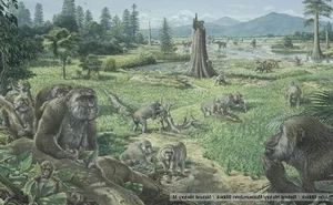 Revolutionary Fossil Discovery Challenges the Timeline of Human Evolution - image 2