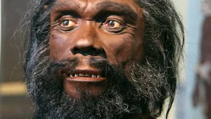 Revolutionary Fossil Discovery Challenges the Timeline of Human Evolution - image 7