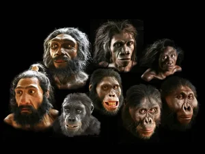 Revolutionary Fossil Discovery Challenges the Timeline of Human Evolution - image 3