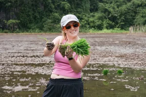 Western Tourists Experience Traditional Wet Rice Farming in Tam Coc - image 2