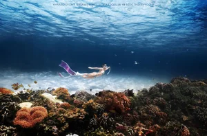 Vocal Instructor Transforms into a Stunning Mermaid During Deep Sea Dive - image 2