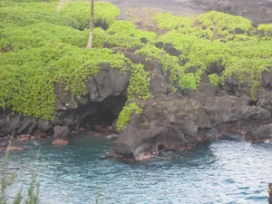 Exploring the Forgotten British Paradise in the Middle of the Pacific Ocean: A Hidden Gem for Travelers - image 3