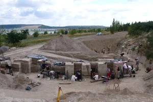 Uncovering the Prehistoric Pantry: The Science Behind Ancient Human Fat Storage - image 0