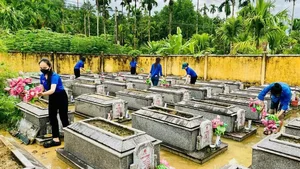 Investigation Launched After Vandalism of Vietnamese Heroic Mother’s Tomb Sparks Public Outrage - image 2