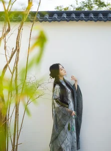 YiTuYu Art Language Vol.6352: Featuring the Elegant Dong Chu Liu - image 6