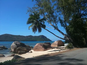 The Wonder of the World's Second Largest Coral Atoll: A Natural Paradise - image 7