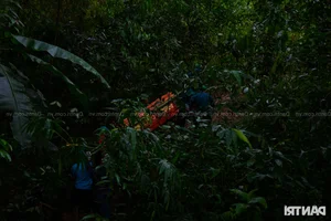 Lao Cai Flash Flood Tragedy: Mourning and Mountain Burials for Victims - image 12