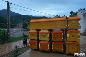 Lao Cai Flash Flood Tragedy: Mourning and Mountain Burials for Victims - image 4