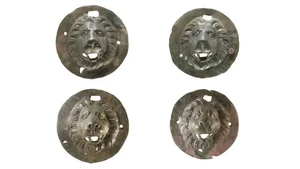 Ancient 1,900-Year-Old Tomb Reveals Mysterious Lion-Head Artifact - image 5