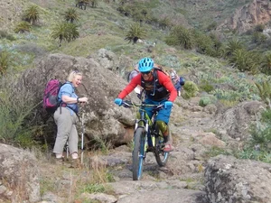 Exploring Spain's Ancient Fairytale Forest: A Journey Through Prehistoric Nature - image 6