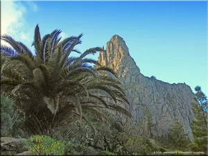 Exploring Spain's Ancient Fairytale Forest: A Journey Through Prehistoric Nature - image 8