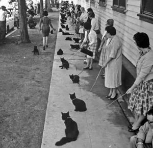 Astonishing and Rare Historic Moments That Will Change Your Perspective - image 0