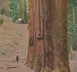 Astonishing and Rare Historic Moments That Will Change Your Perspective - image 12