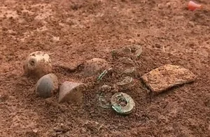 Fox Hunter Unearths Rare Ancient Treasure Worth Millions in Mountains - image 2