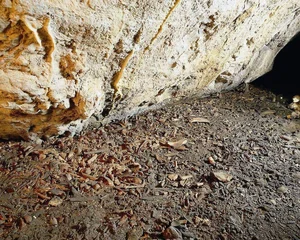 Inside the Cave Sealed for 16,000 Years: Unearthing Ancient Secrets - image 5