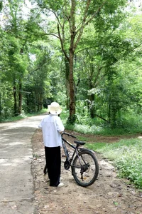 Summer Escape: Finding Cool Refuge in the Lush Nam Cat Tien National Park - image 2