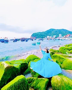 Breathtaking Green Moss Season on the Scenic Beaches of Quy Nhon - image 8