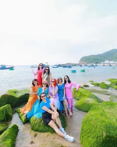 Breathtaking Green Moss Season on the Scenic Beaches of Quy Nhon - image 2