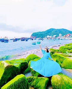Breathtaking Green Moss Season on the Scenic Beaches of Quy Nhon - image 10
