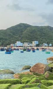 Breathtaking Green Moss Season on the Scenic Beaches of Quy Nhon - image 5