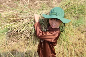Discovering the Cultural Heritage and Traditional Festivals of Quang Ngai Province, Vietnam - image 4