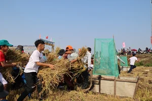 Discovering the Cultural Heritage and Traditional Festivals of Quang Ngai Province, Vietnam - image 6