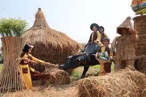 Discovering the Cultural Heritage and Traditional Festivals of Quang Ngai Province, Vietnam - image 5